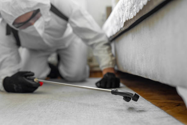 Professional Cockroach Control technician working in Lincoln, MO