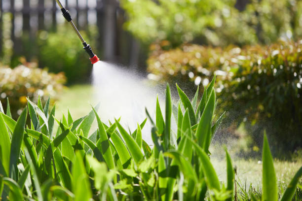 24/7 Emergency Cockroach Control experts in Lincoln, MO