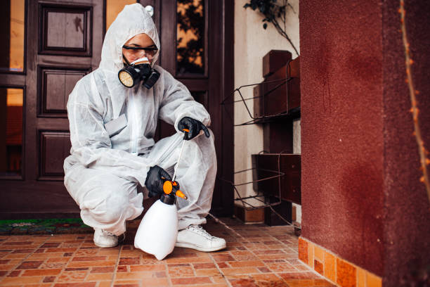 Reliable Cockroach Control contractor in Lincoln, MO by Nex Pest Control