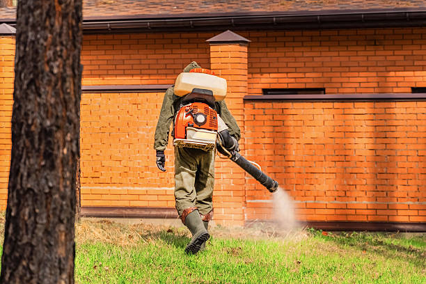 Trusted Ant Control service in Lincoln, MO - Nex Pest Control